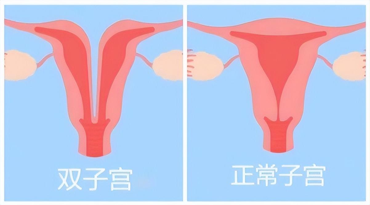 今晚澳门9点35分开奖，详细解答、综合解答解释落实