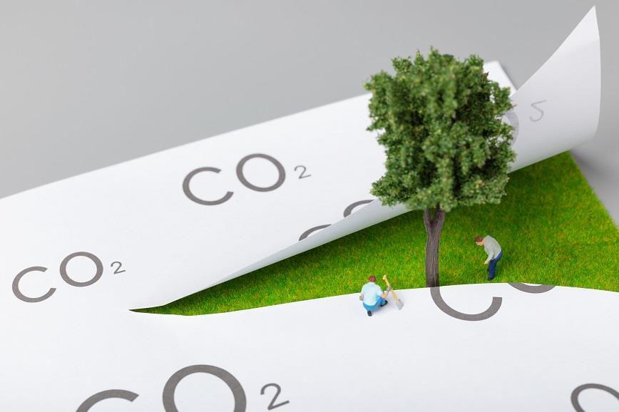新澳2025今晚开奖资料查询结果仔细释义、解释与落实、精准解答解释落实
