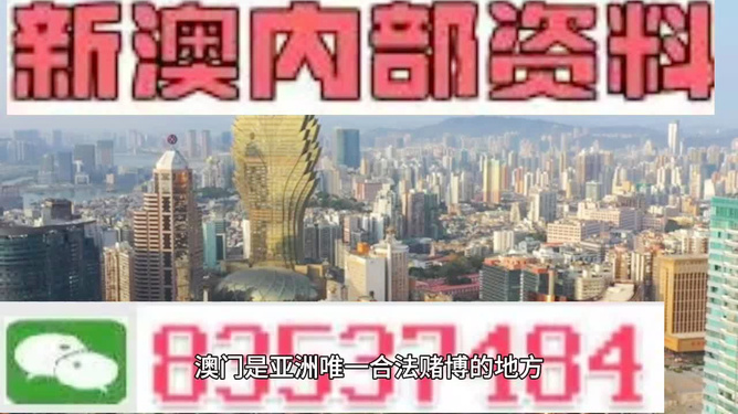 2023年澳门精准免费大全精选解析、解释与落实、详细解答解释落实