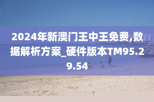 2025新澳门王中王正版，详细解答、精准解答解释落实