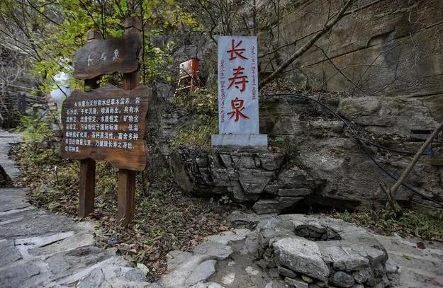 管家婆一肖一码100%准资料大全,警惕虚假宣传,实时解答解释落实